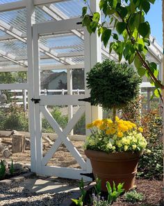 a potted plant with yellow and white flowers in it next to an open gate