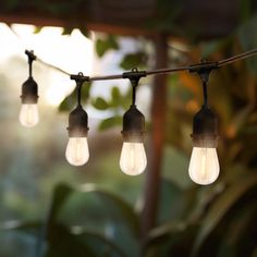 several light bulbs are hanging from a wire in front of some plants and trees with sunlight coming through the leaves