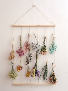 there are many dried flowers hanging on the wall and hung in a frame with strings