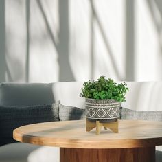 a potted plant sitting on top of a wooden table next to a white couch