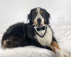 a dog with a bow tie laying on a bed