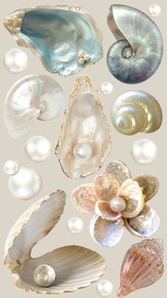 an assortment of seashells and pearls are shown in this image, including one shell