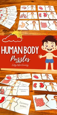 the human body puzzles game is shown on a table