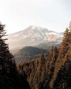 the mountain is covered in snow and surrounded by pine trees