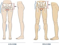 the diagram shows different types of legs and ankles, with measurements for each individual body