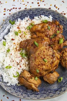 a blue plate topped with rice and chicken