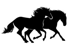 two horses running side by side on a white background