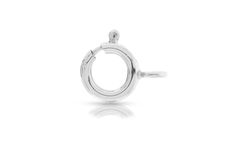 a silver ring on a white background with the letter o in it's center