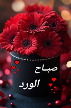 some red flowers are in a black hat with hearts on it and the words i love you written in arabic