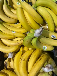 several bunches of bananas are stacked on top of each other in plastic wrappers