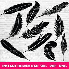 black and white feather silhouettes on a brick wall with the text instant download svt