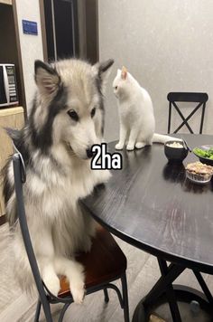 two cats sitting at a table with food on it