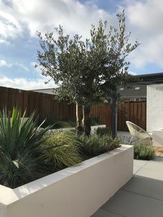 an outdoor garden with trees and plants in it