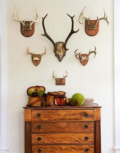 several deer heads mounted on the wall above a dresser in a room with white walls