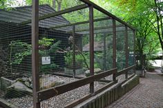 a caged in area with rocks and plants on the ground next to a building