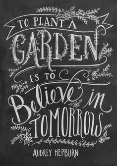 an instagram page with the message to plant a garden is to believe in tomorrow