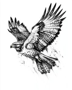 a drawing of an eagle flying through the air