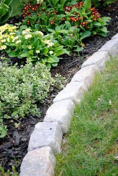 a garden filled with lots of different types of flowers