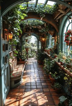 an arched walkway with potted plants on either side and sun shining through the windows