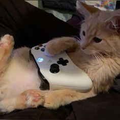 a cat laying on its back with a video game controller in it's paws