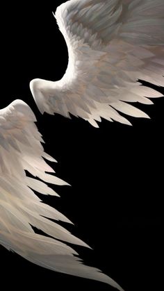 two white angel wings are shown against a black background in this artistic photo, one wing has been cut out and the other is partially closed