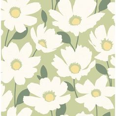 an image of white flowers on green background