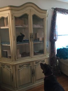 a dog sitting on the floor looking at a china cabinet with glass doors and drawers