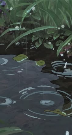 an image of a pond with water lilies