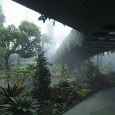 an indoor garden with lots of plants and trees in the foggy day, surrounded by greenery