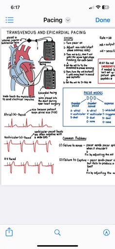 an iphone screen showing instructions on how to use the app for medical care and safety