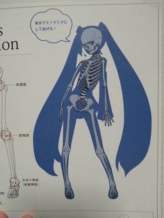 the skeleton is labeled in several different languages