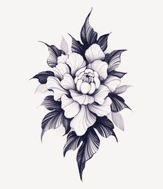 a black and white drawing of a flower with leaves on the bottom half of it