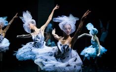 the dancers are dressed in white and blue tulle dresses with veils on their heads