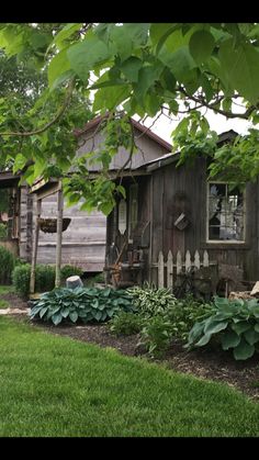 an old wooden house sitting in the middle of a lush green field next to a tree