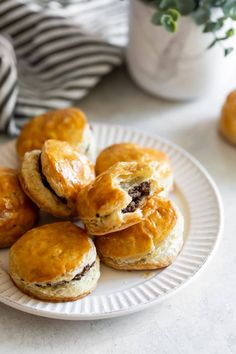 small pastries on a white plate next to a potted plant in the background