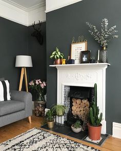 a living room with a couch, fireplace and potted plants on the floor in front of it