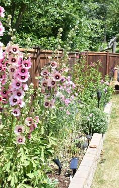 some pink and purple flowers in a garden next to a brick wall with a wooden fence