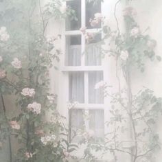 an image of a window with roses growing on the outside and in the windowsill