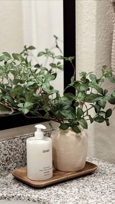 a white bottle sitting on top of a wooden tray next to a green leafy plant