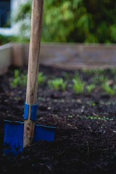 there is a blue shovel in the dirt next to a wooden pole and some plants