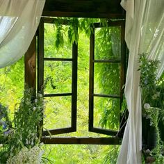 an open window in the middle of a lush green forest filled with flowers and greenery