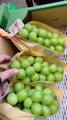 a person picking grapes out of a box