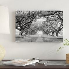 a black and white photo of an oak tree lined road with trees in the background