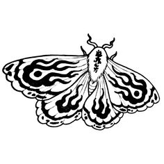 a black and white drawing of a butterfly with flames on it's wings,