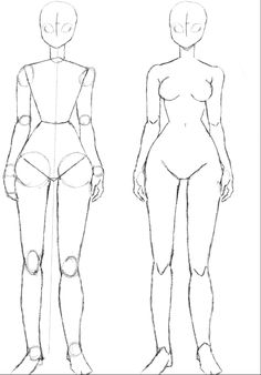 two female mannequins are shown in this drawing