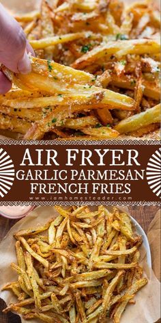 air fryer garlic parmesan french fries on a plate with text overlay