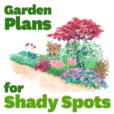 the garden plans for shady spots