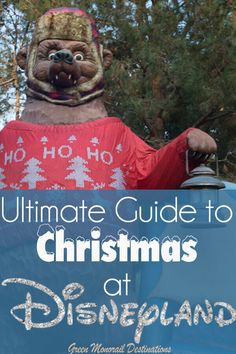 the ultimate guide to christmas at disneyland with an image of a bear in a sweater