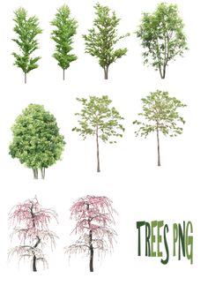 a group of trees with the words teasing written below them in green and pink