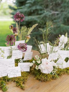 Organic Wedding Decor, Moss Table Runner, Garden Arrangement, Wedding Cake With Initials, Peony Farm, Moss Wedding, Romantic Rustic Wedding, 2025 Wedding, Rustic Wedding Table